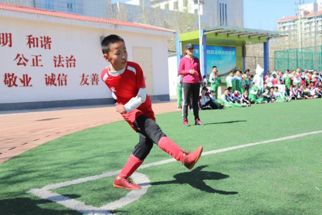 哈兰德对阵水晶宫4场6球 但首次未能带队获胜